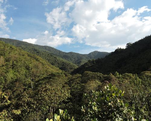 FotografoFoto Alcaldía de Medellín:42 propietarios de 67 predios rurales recibieron incentivos para la protección y cuidado de los ecosistemas.